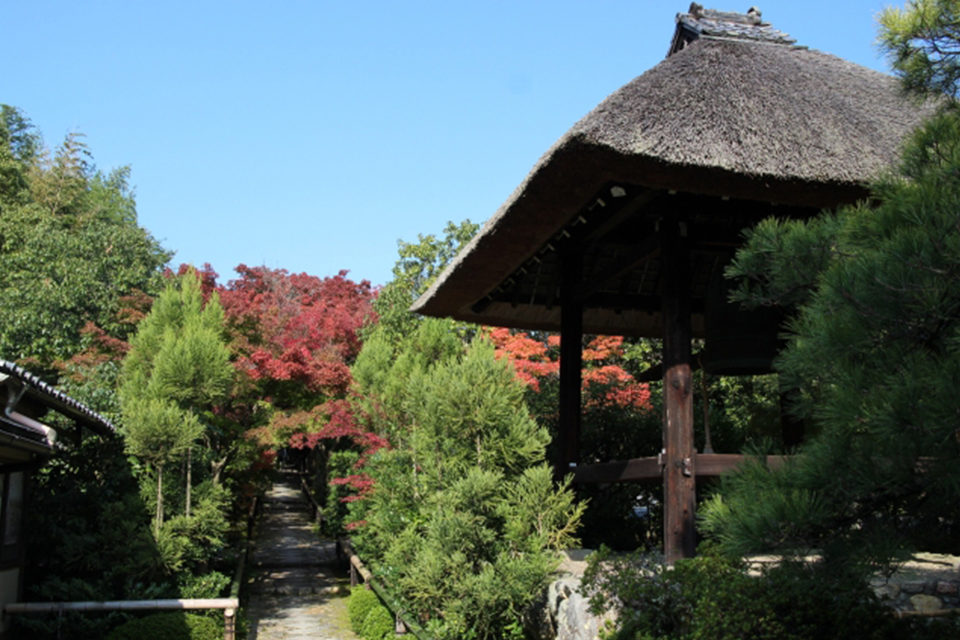 也能在這裡欣賞！ 11個能夠享受京都紅葉的人工庭園