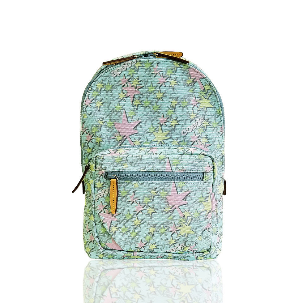 京都限定のELISIR caede KYOTO | エリシアカエデ京都のバッグシリーズ　Stella Tre COLOR:BLUE