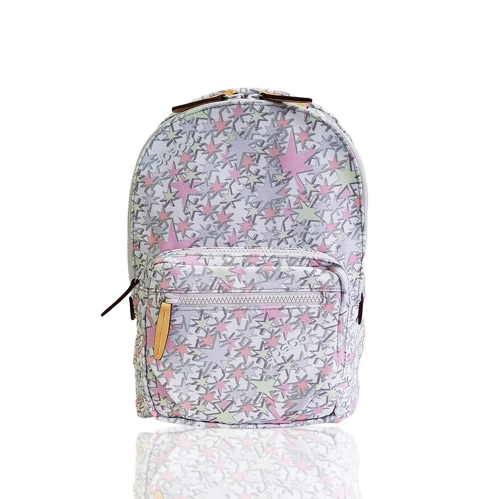 京都限定のELISIR caede KYOTO | エリシアカエデ京都のバッグシリーズ　Stella Tre COLOR:PINK