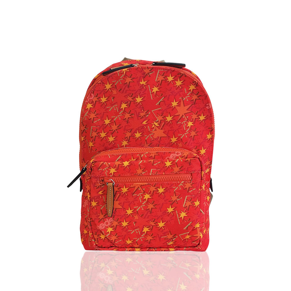 京都限定のELISIR caede KYOTO | エリシアカエデ京都のバッグシリーズ　Stella Tre COLOR:RED