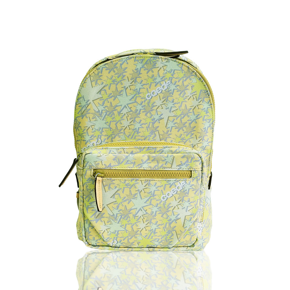 京都限定のELISIR caede KYOTO | エリシアカエデ京都のバッグシリーズ　Stella Tre COLOR:YELLOW