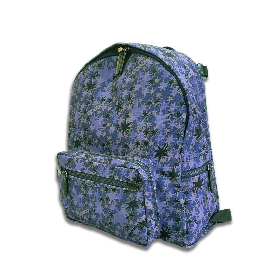 京都限定のELISIR caede KYOTO | エリシアカエデ京都のバッグシリーズ　STELLA RUCK