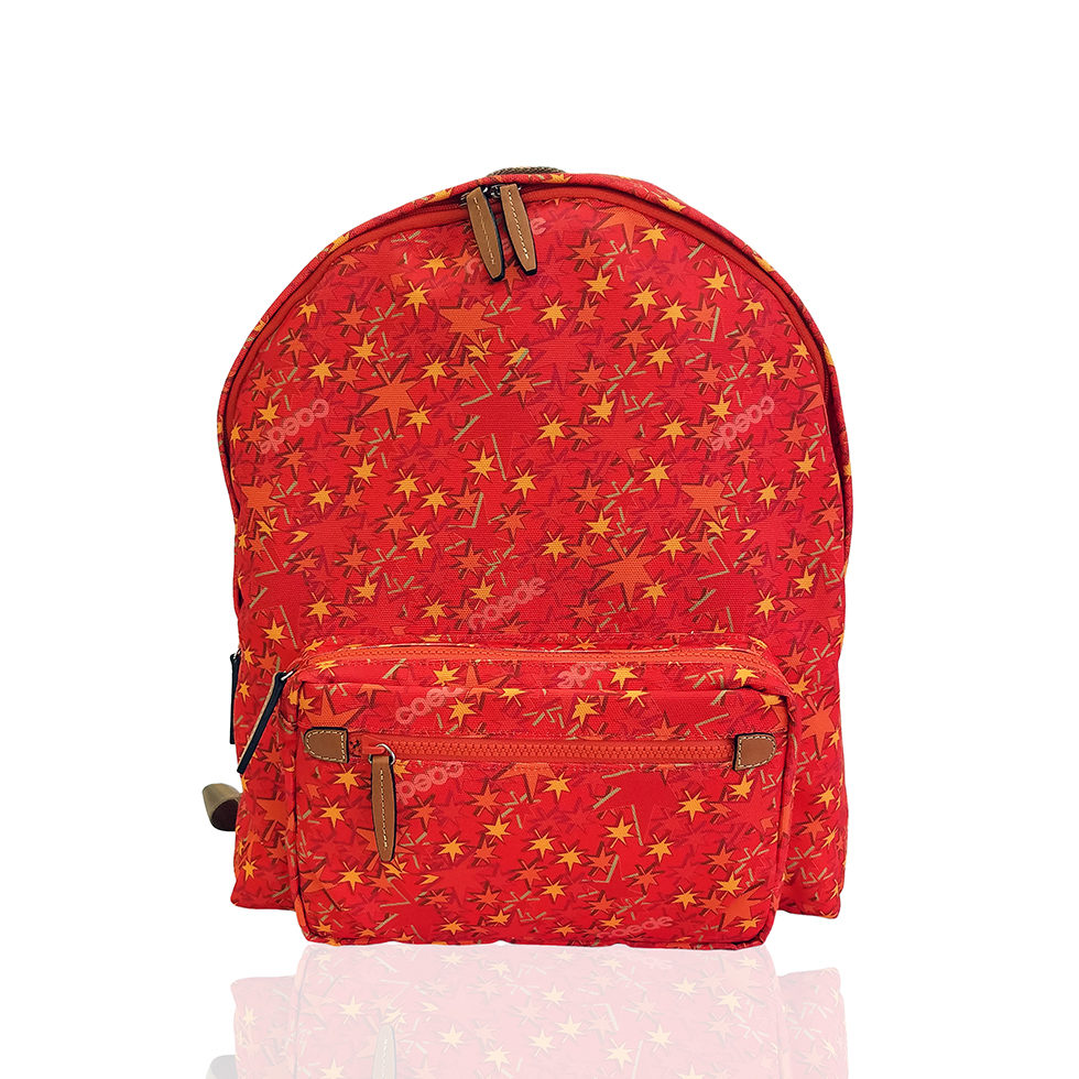 京都限定のELISIR caede KYOTO | エリシアカエデ京都のバッグシリーズ　Stella Uno COLOR:RED