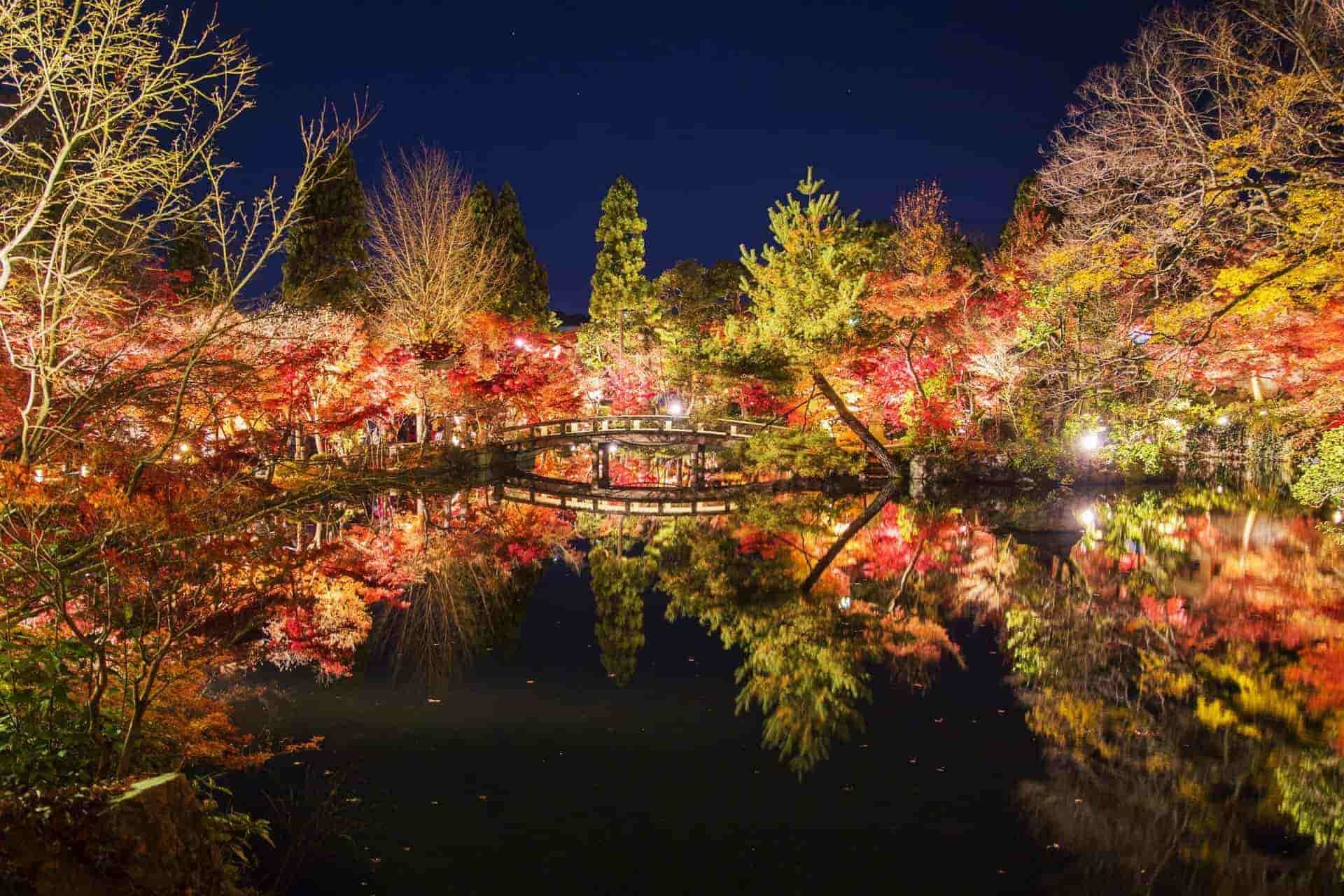 caede KYOTO | カエデ京都