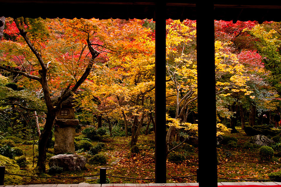 京都に行くなら宿泊してみたい！紅葉をまるごと楽しめる旅館10選