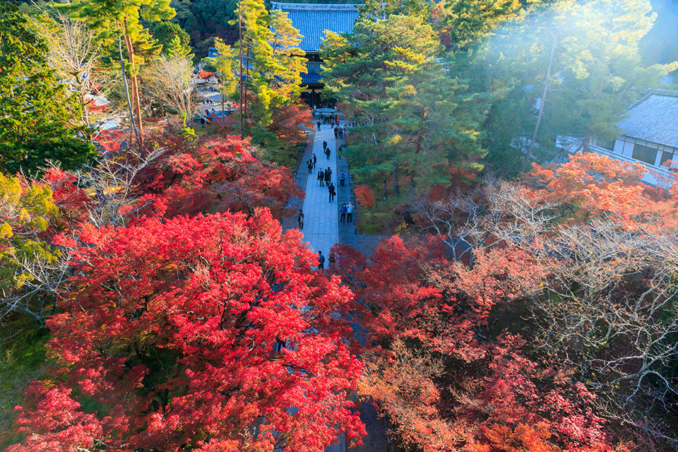 地下鉄東西線に乗っていこう！列車で行く京都の紅葉スポット8選