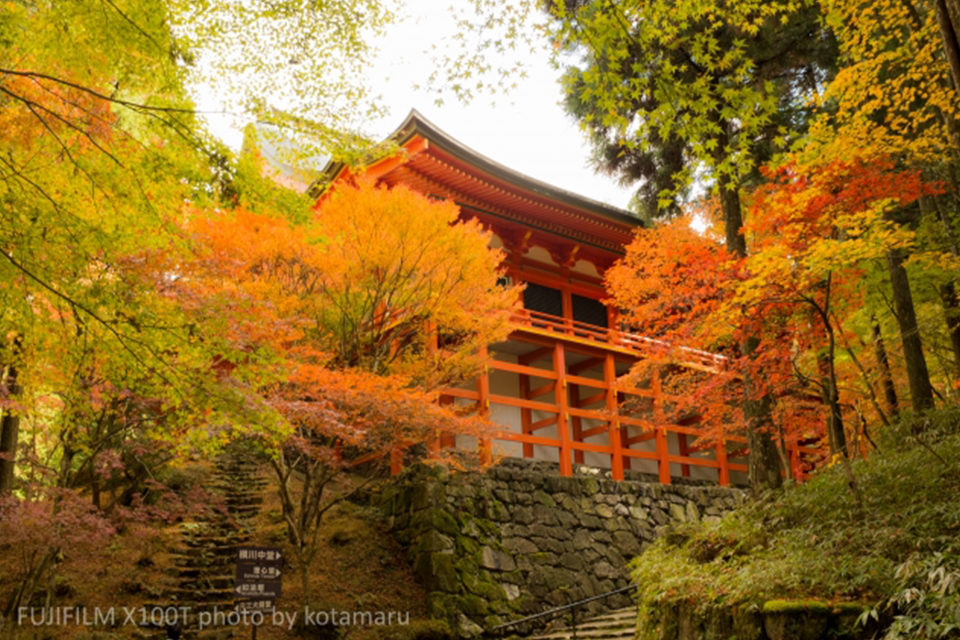 京都で紅葉を10月に楽しめるスポット6選