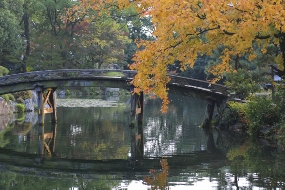 京都紅葉のお寺