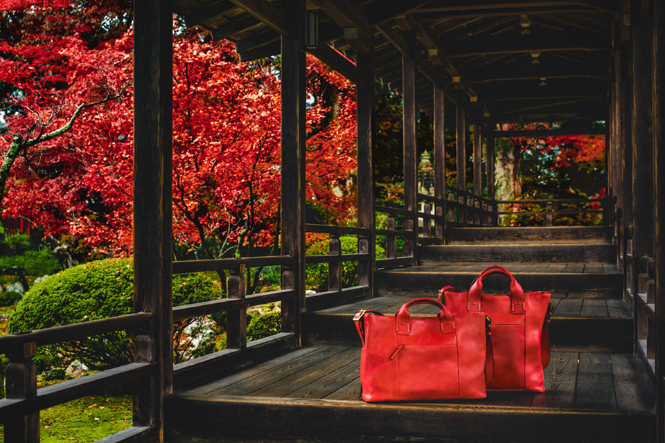 京都紅葉ライトアップ