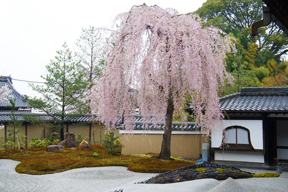 ねねの寺