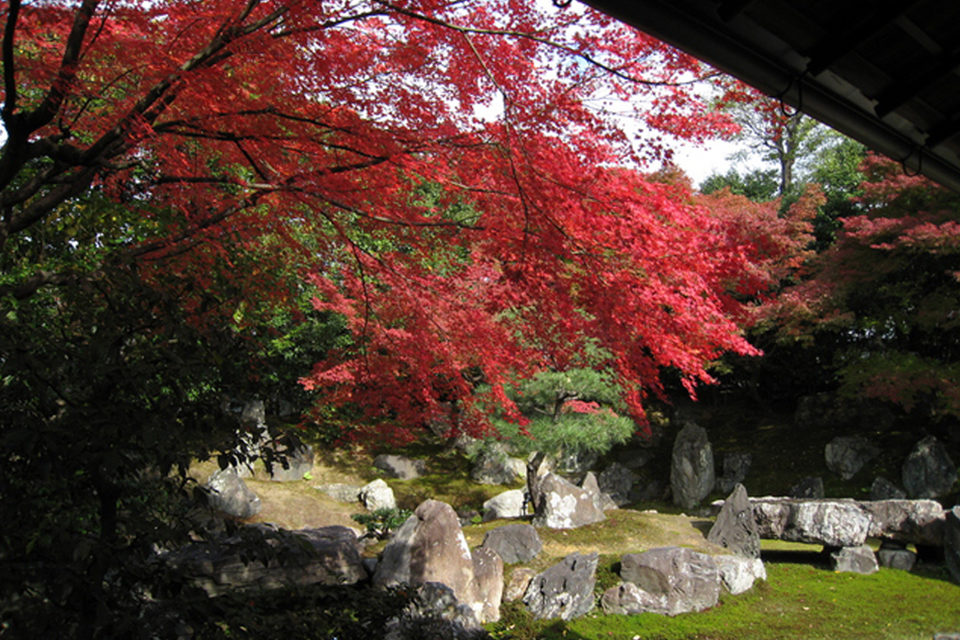 ねねの寺