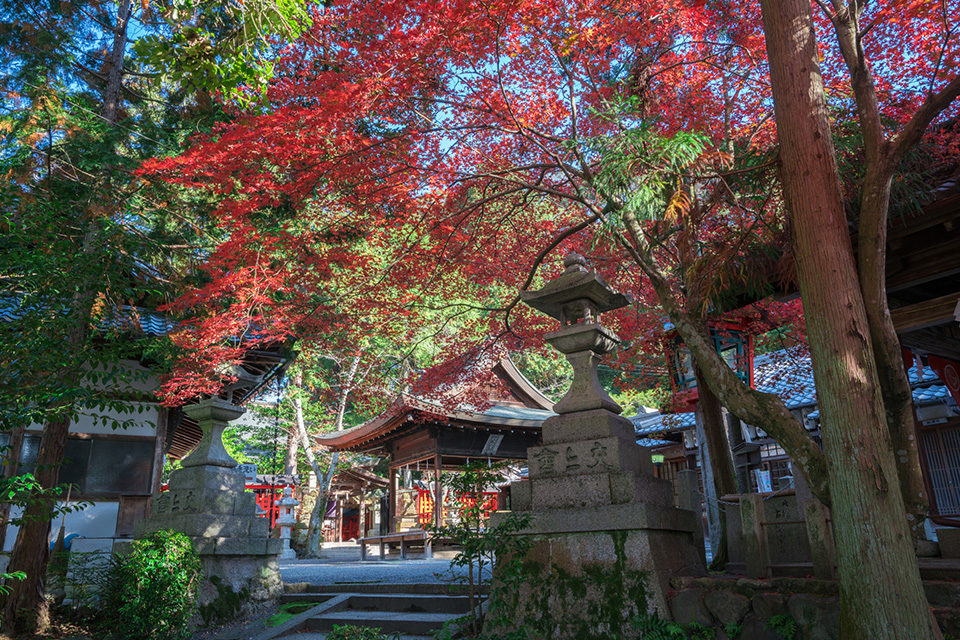 三宅八幡宮