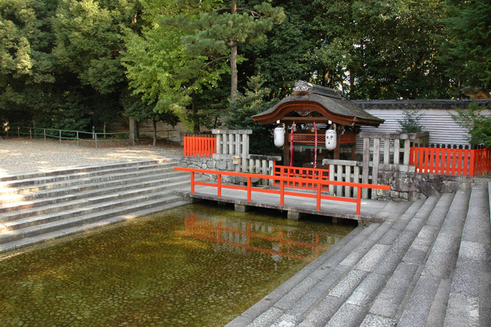 下鴨神社-御手洗池森
