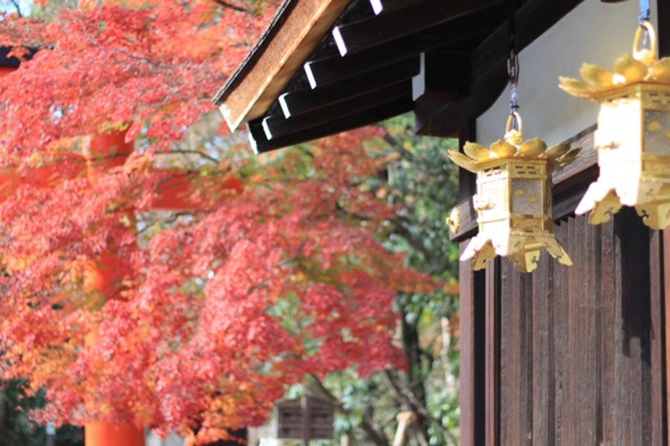 下鴨神社