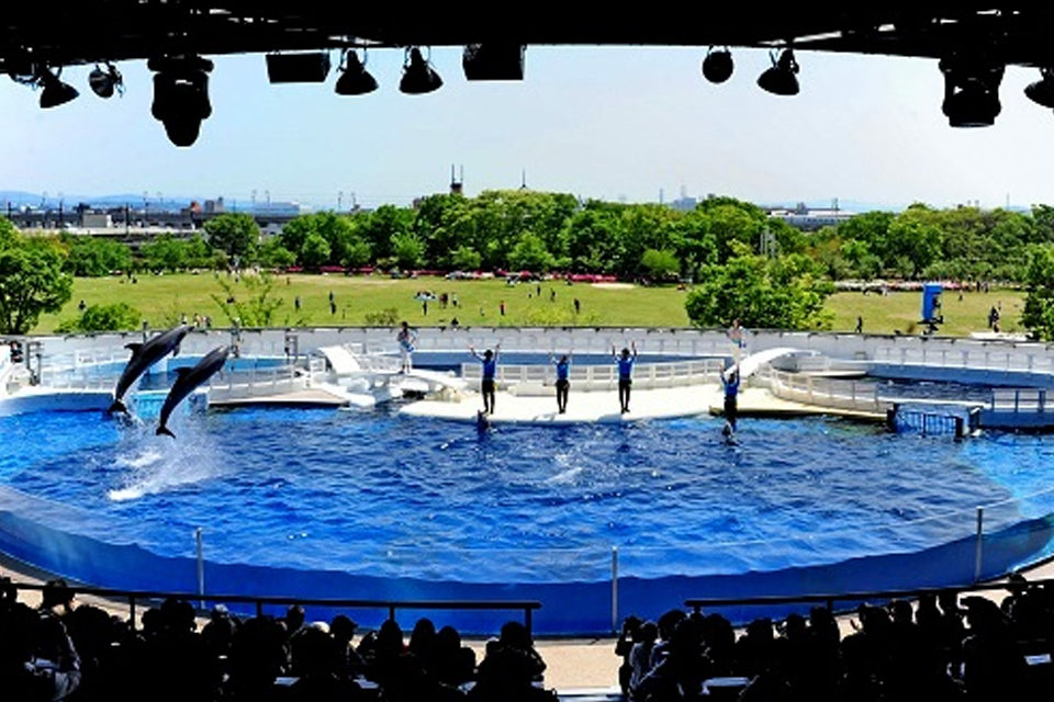 京都水族館-イルカスタジアム