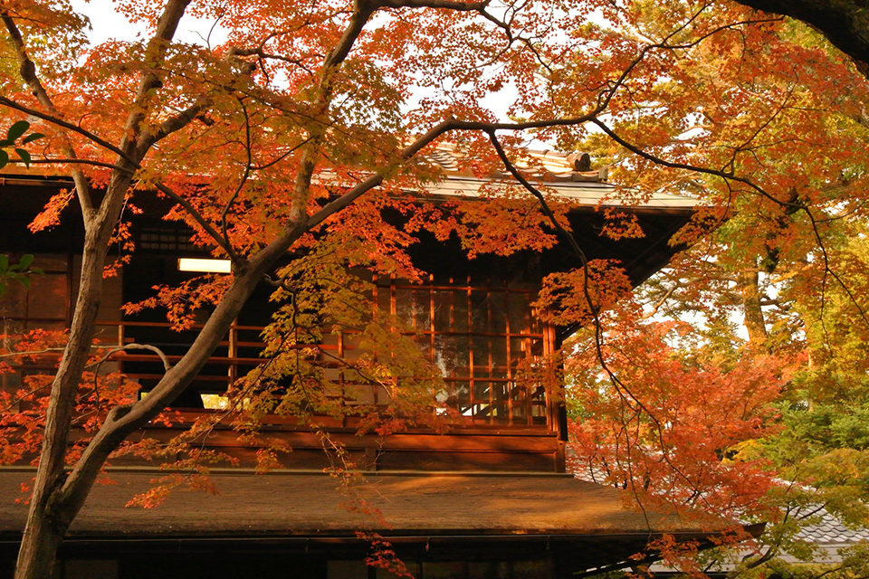 京都無鄰菴の紅葉