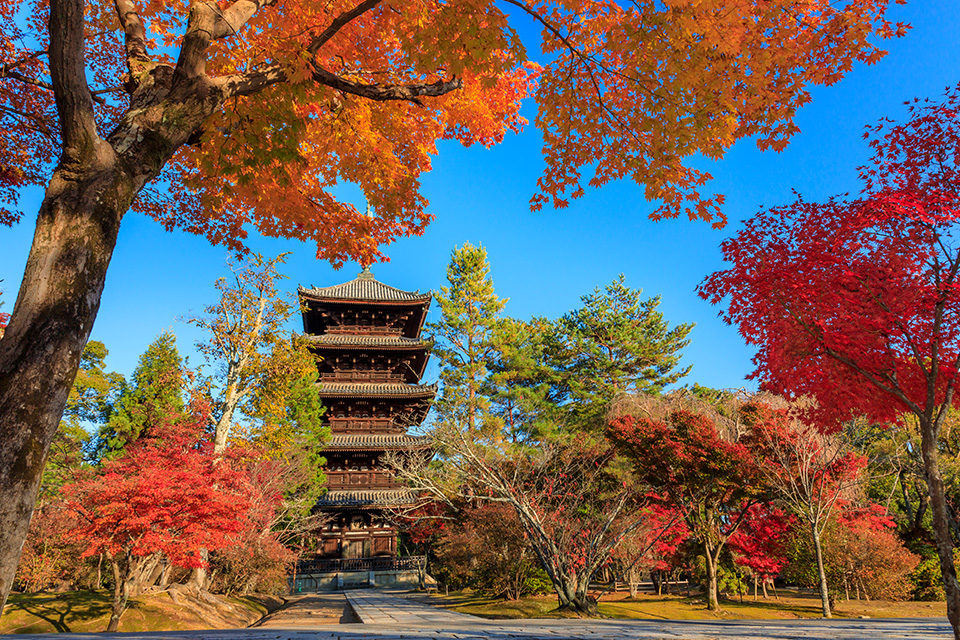 仁和寺の紅葉