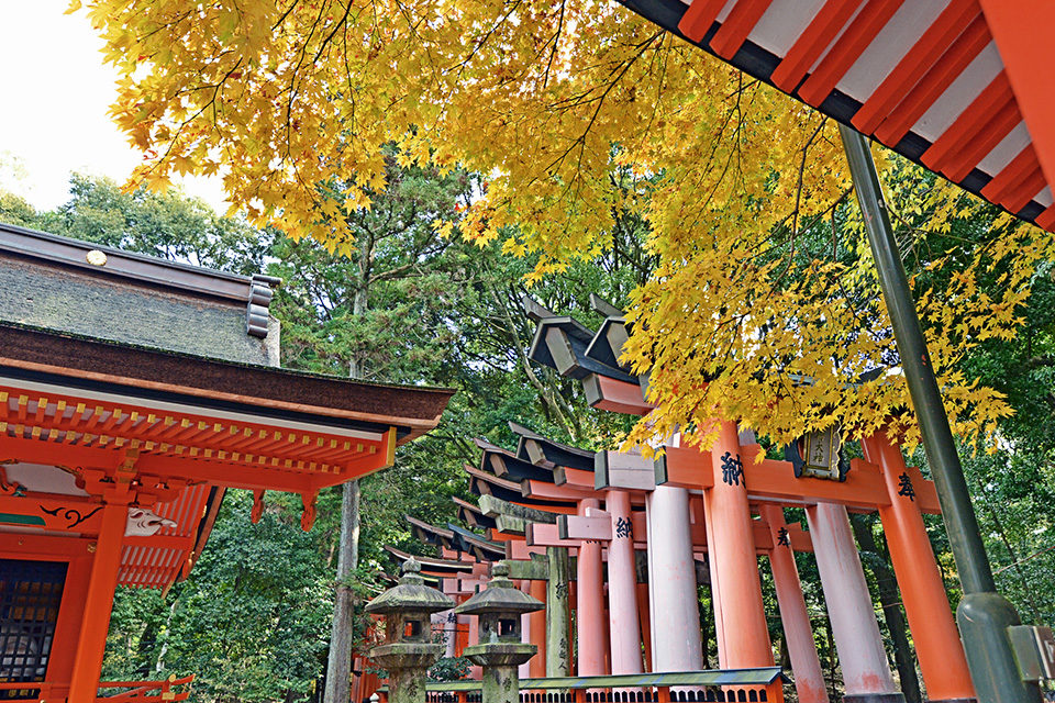 渋滞知らずの京都の紅葉観光は可能なの？パークアンドライドで行ける観光スポット大集合。