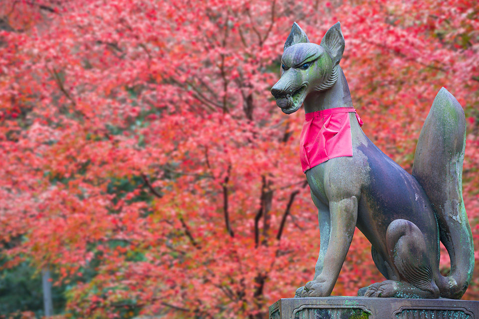 秋は紅葉、そう決めつけていると伏見の魅力を見落としてしまうかも。伏見を知って、伏見を楽しむための総ざらえ。
