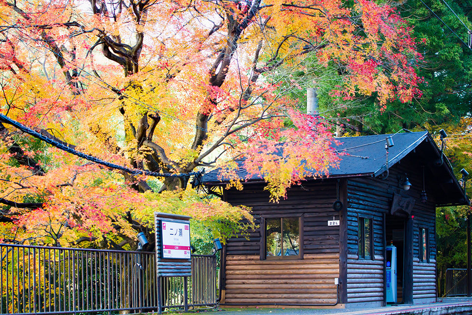 叡電二ノ瀬駅の紅葉