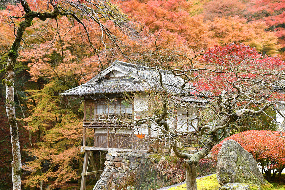 古知谷阿弥陀寺