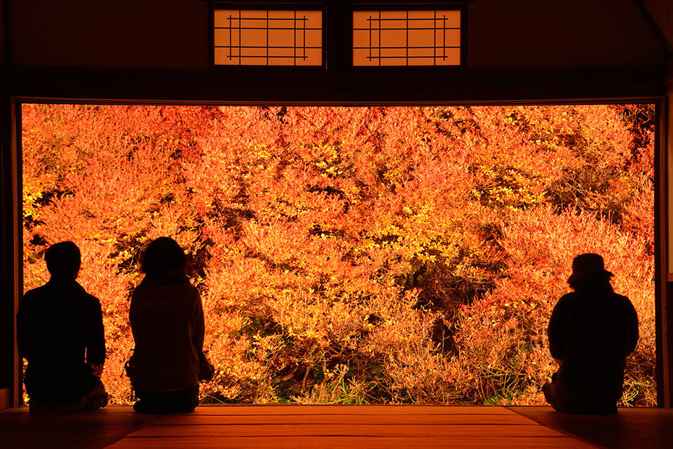 安国寺の紅葉と境内の秋