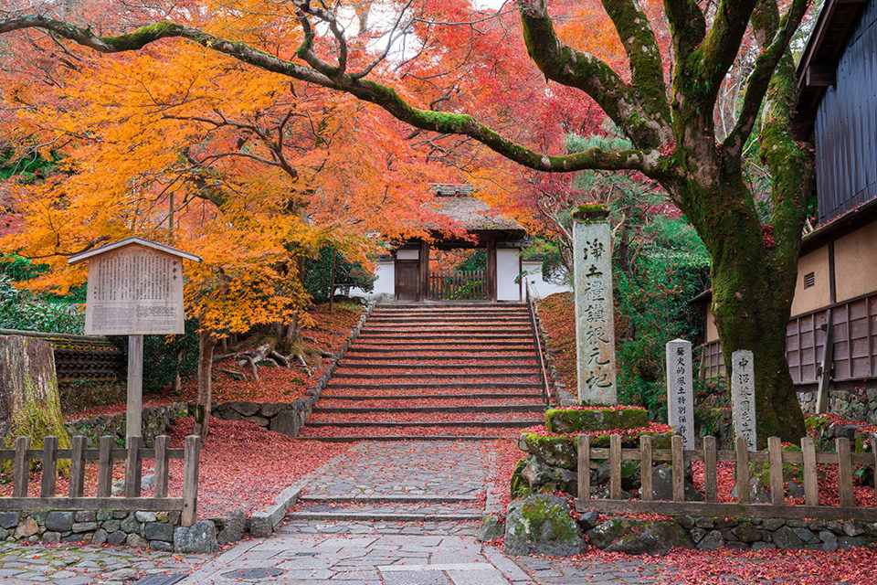 安楽寺の紅葉
