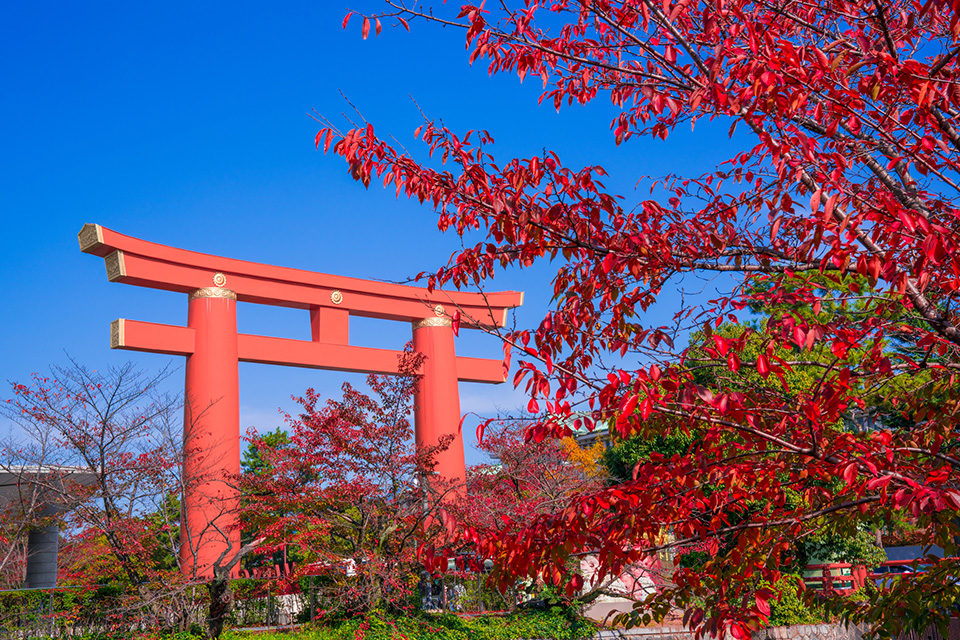 平安神宮の大鳥居と紅葉