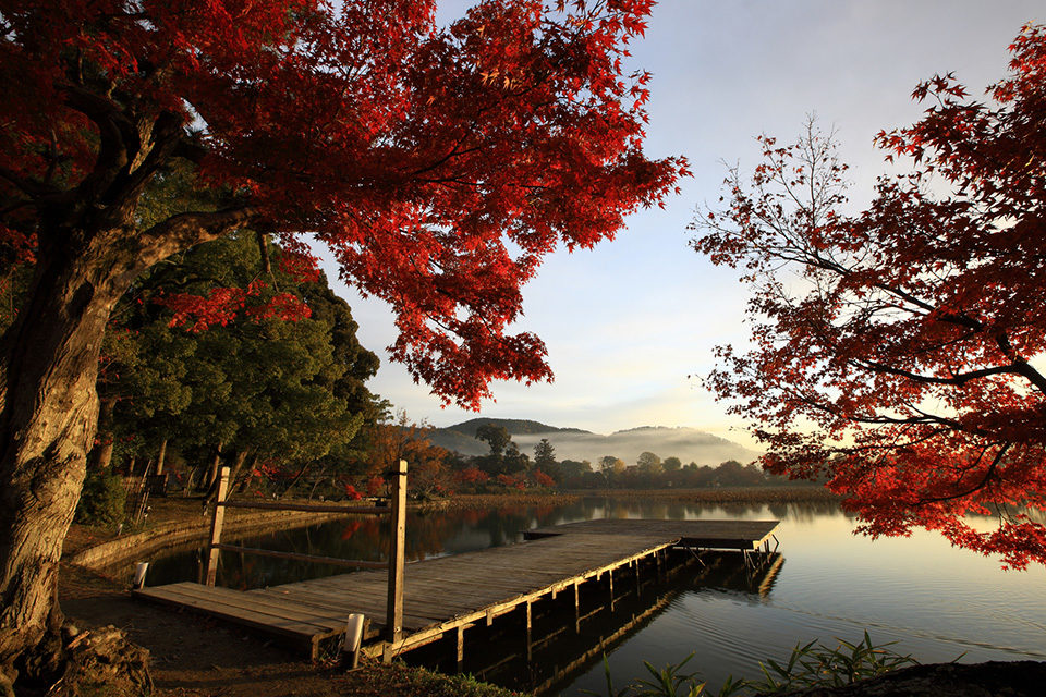 広沢池の紅葉