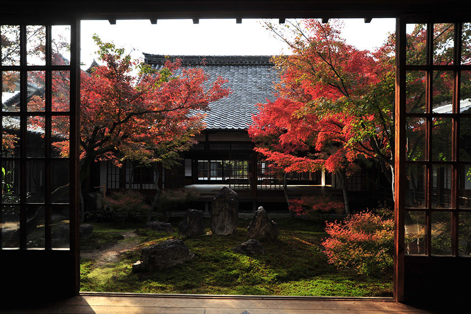 秋の建仁寺の潮音庭
