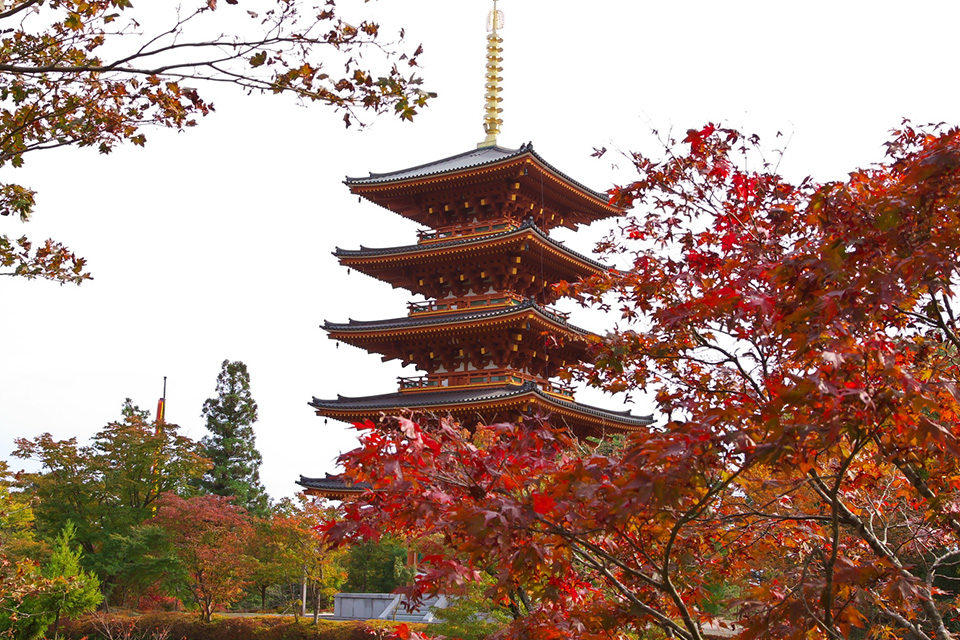 成相寺五重塔