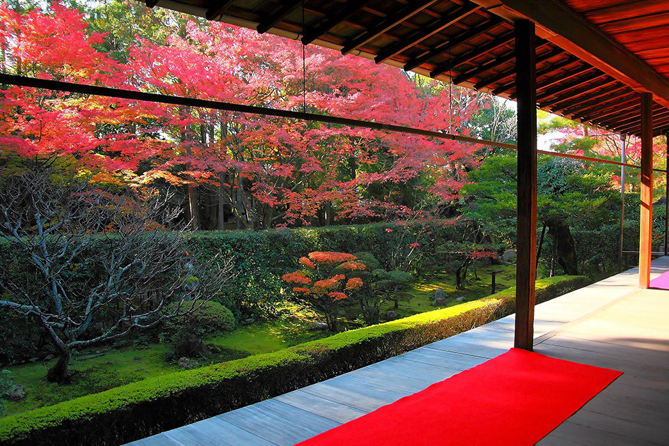 Keishun-in, Myoshin-ji