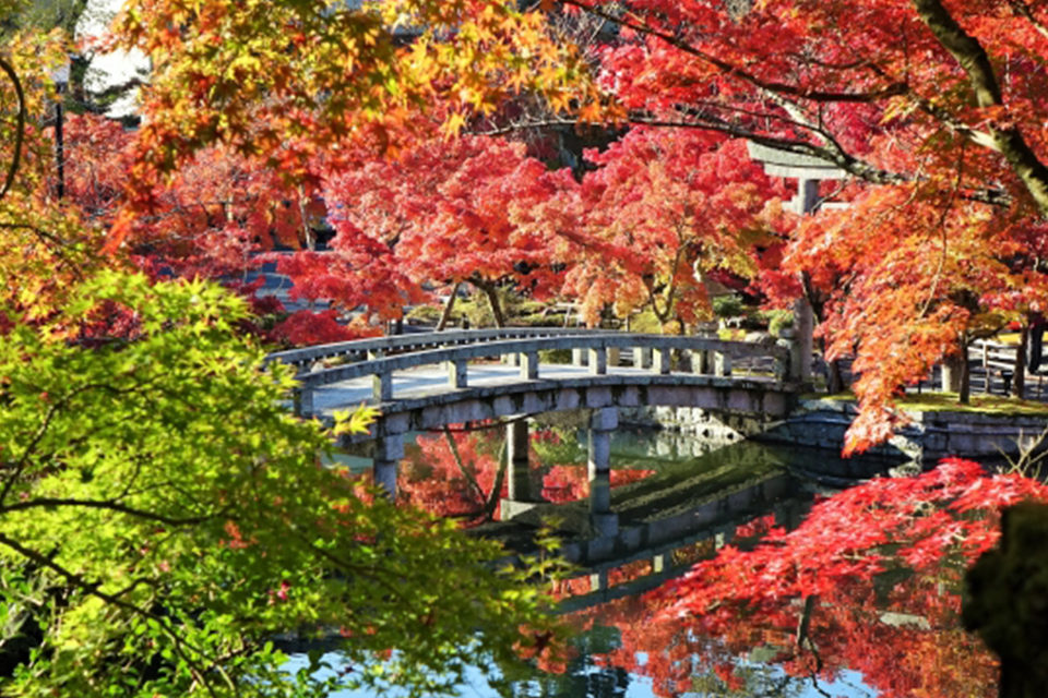 永観堂の紅葉