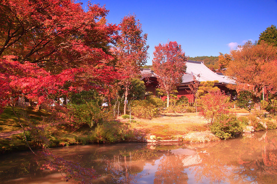 京都法金剛院