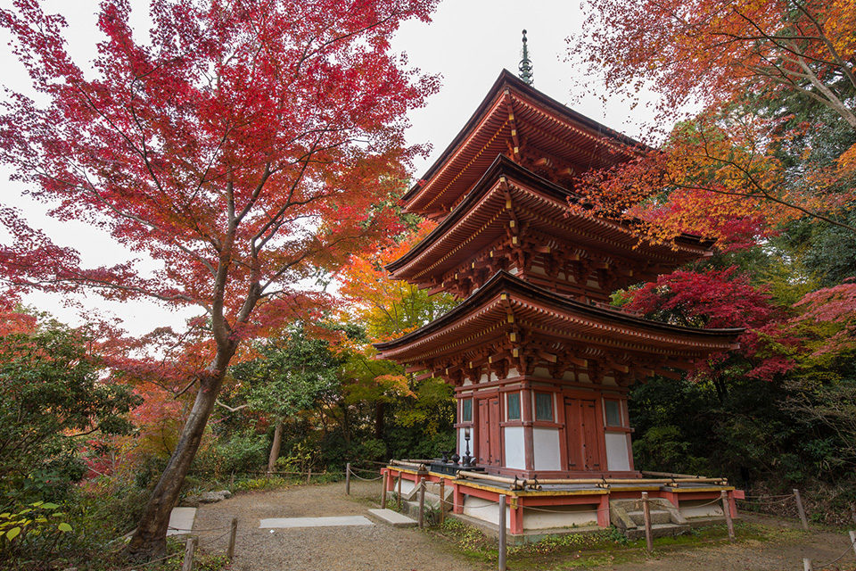 淨瑠璃寺