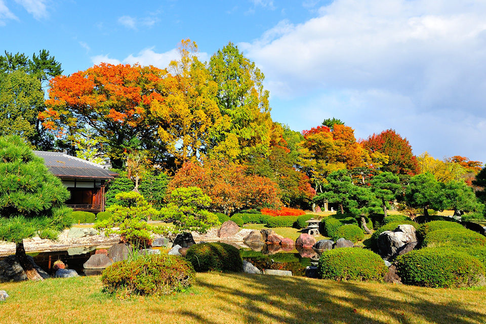 清流園の紅葉