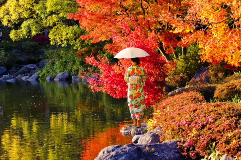 紅葉と女性