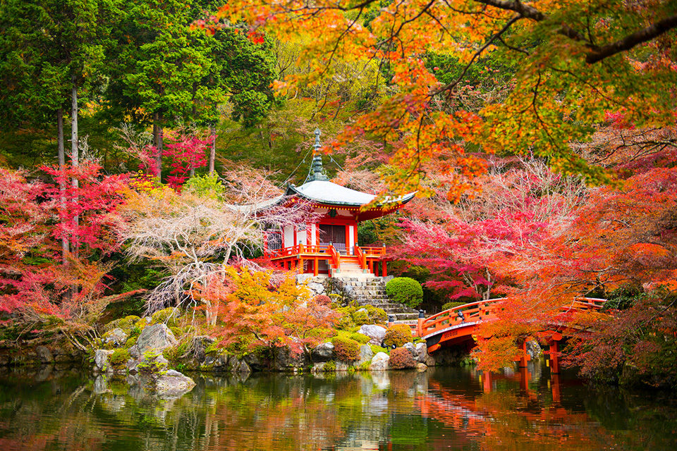 紅葉の醍醐寺