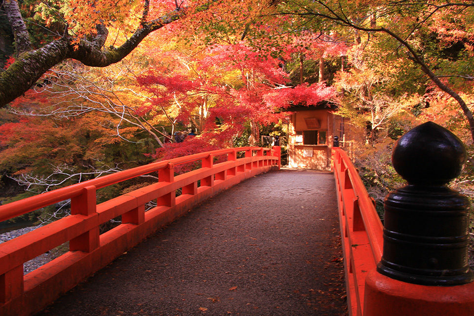 Saimyo-ji Temple