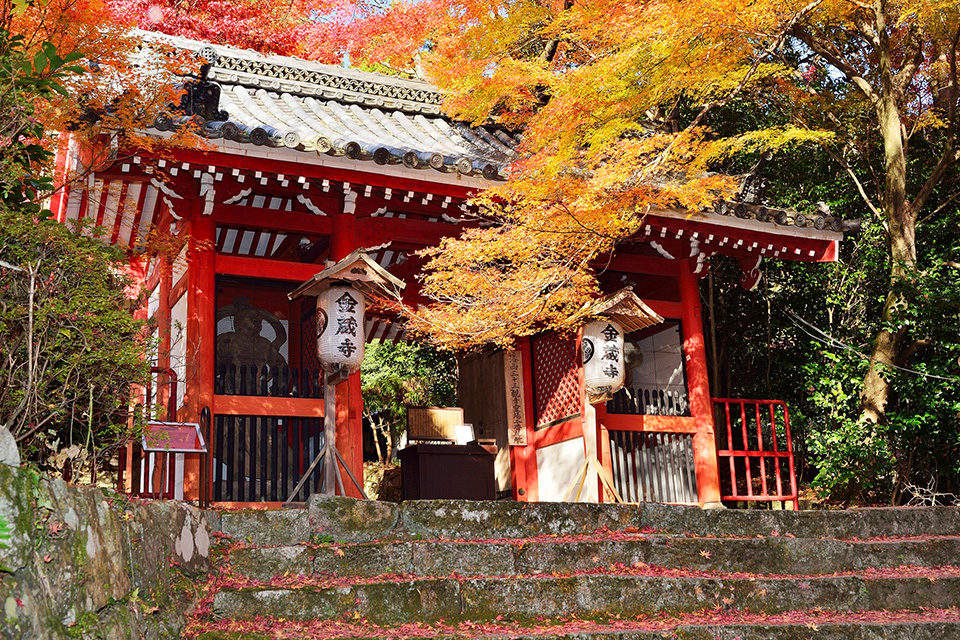 金蔵寺の紅葉
