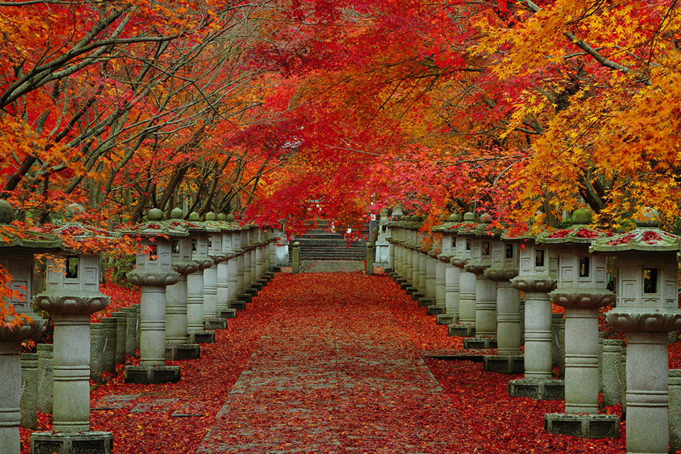 Kozanji Temple
