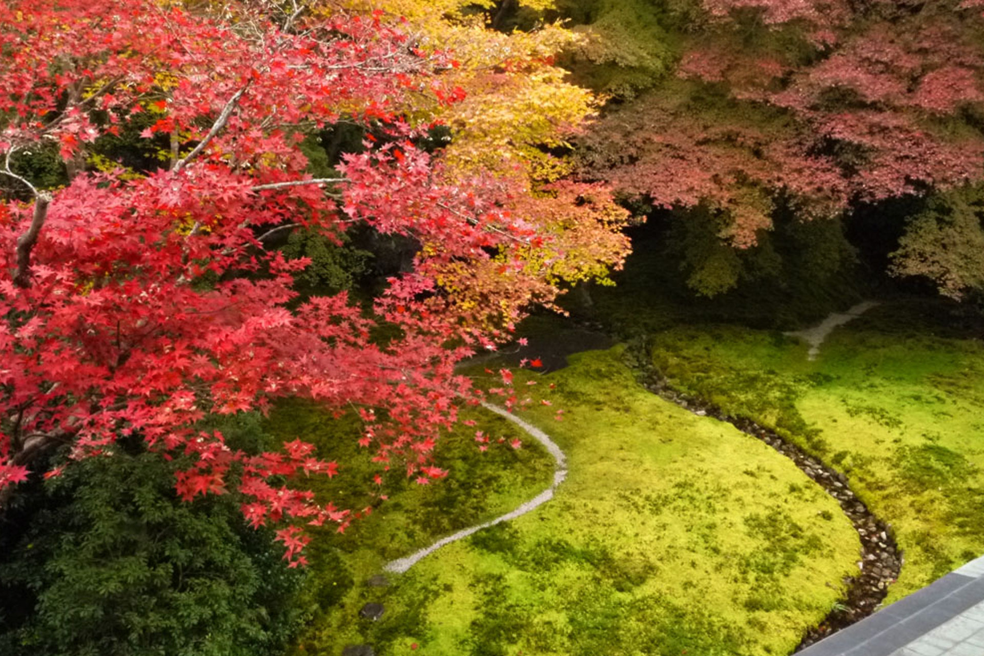 瑠璃光院