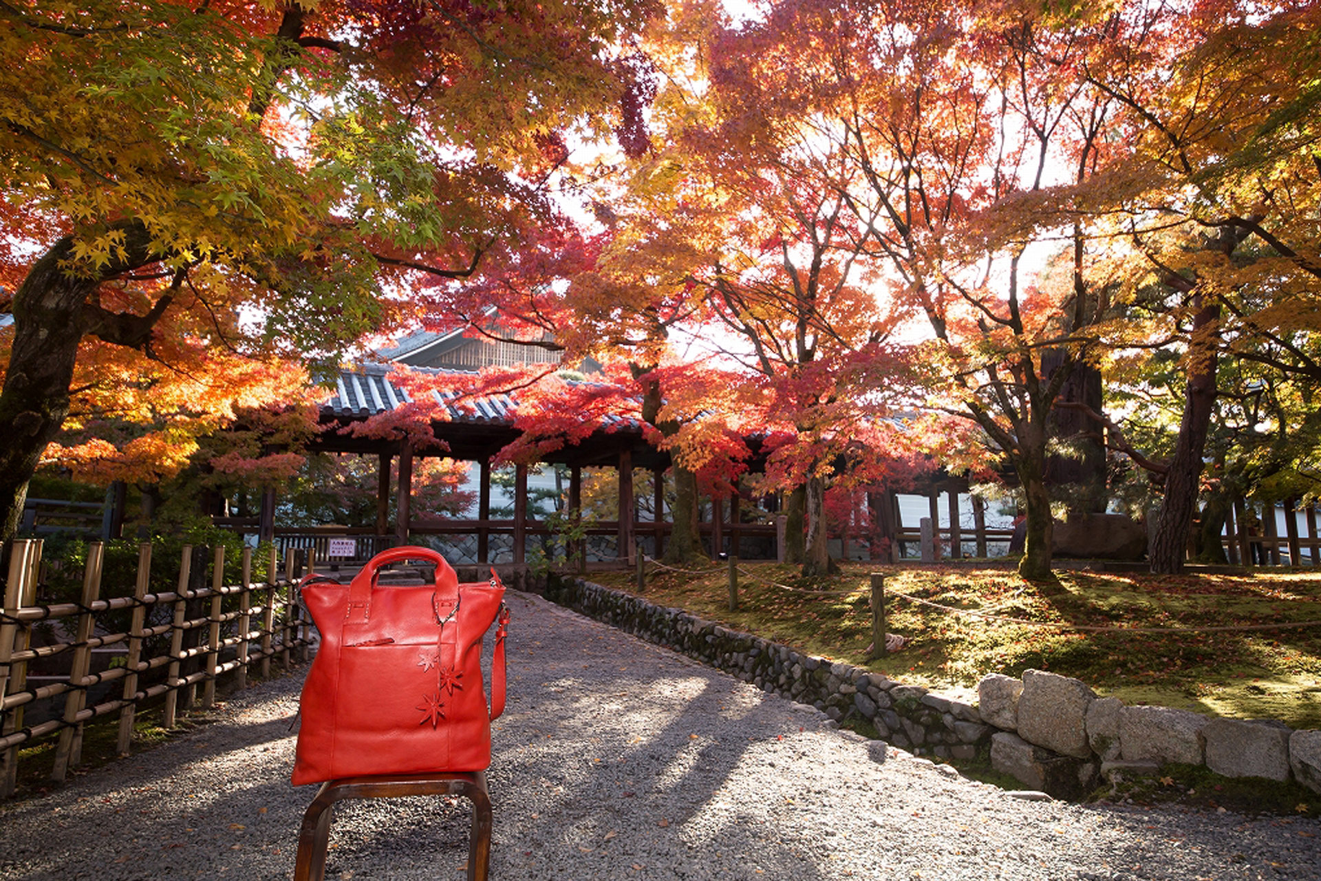 塔頭寺院の「光明院」