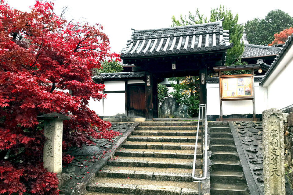 光明院 京都 紅葉