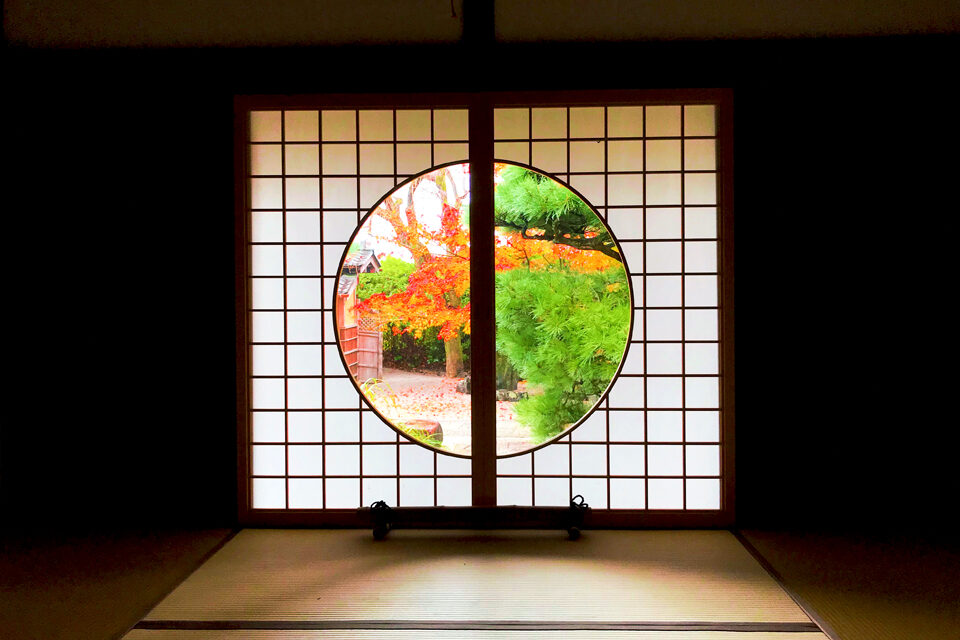 光明院 京都 紅葉