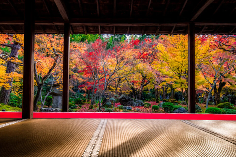 圓光寺　紅葉　京都
