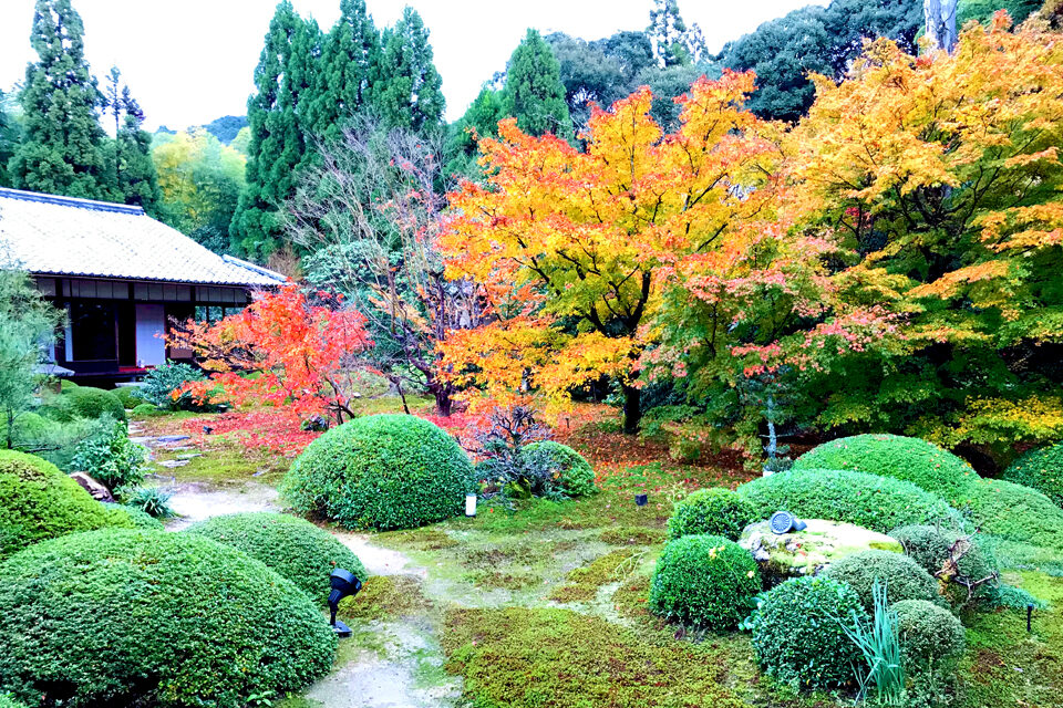 雲龍院 京都 紅葉