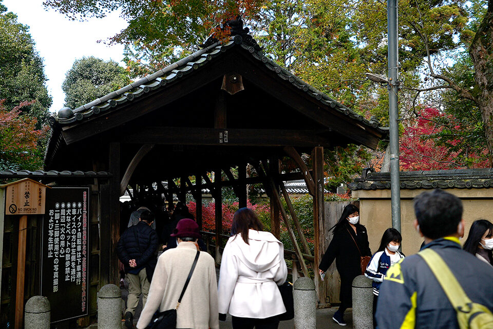 東福寺 京都 紅葉