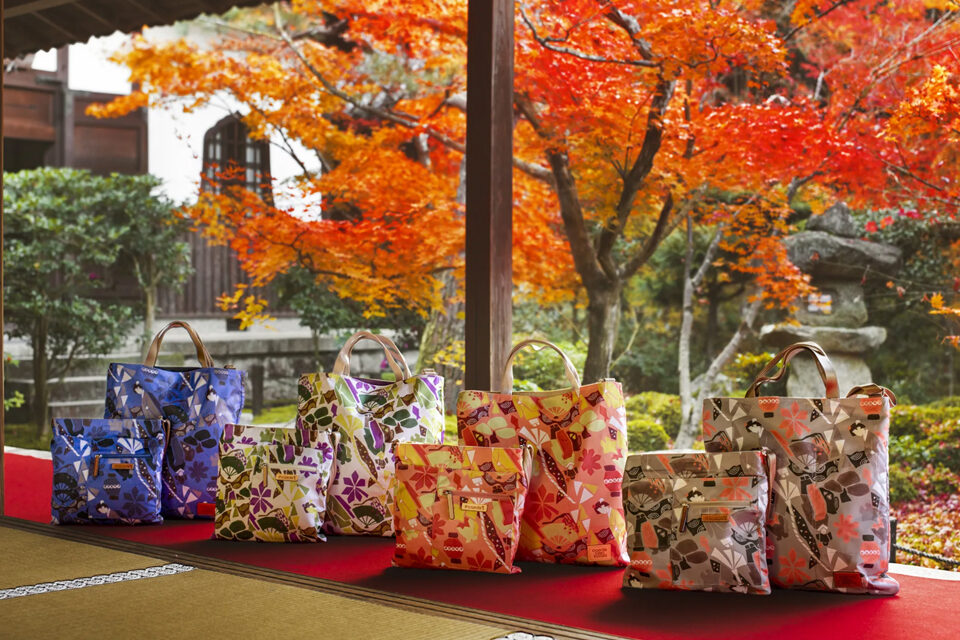 圓光寺　紅葉　京都