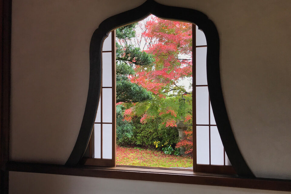 天得院 京都 紅葉